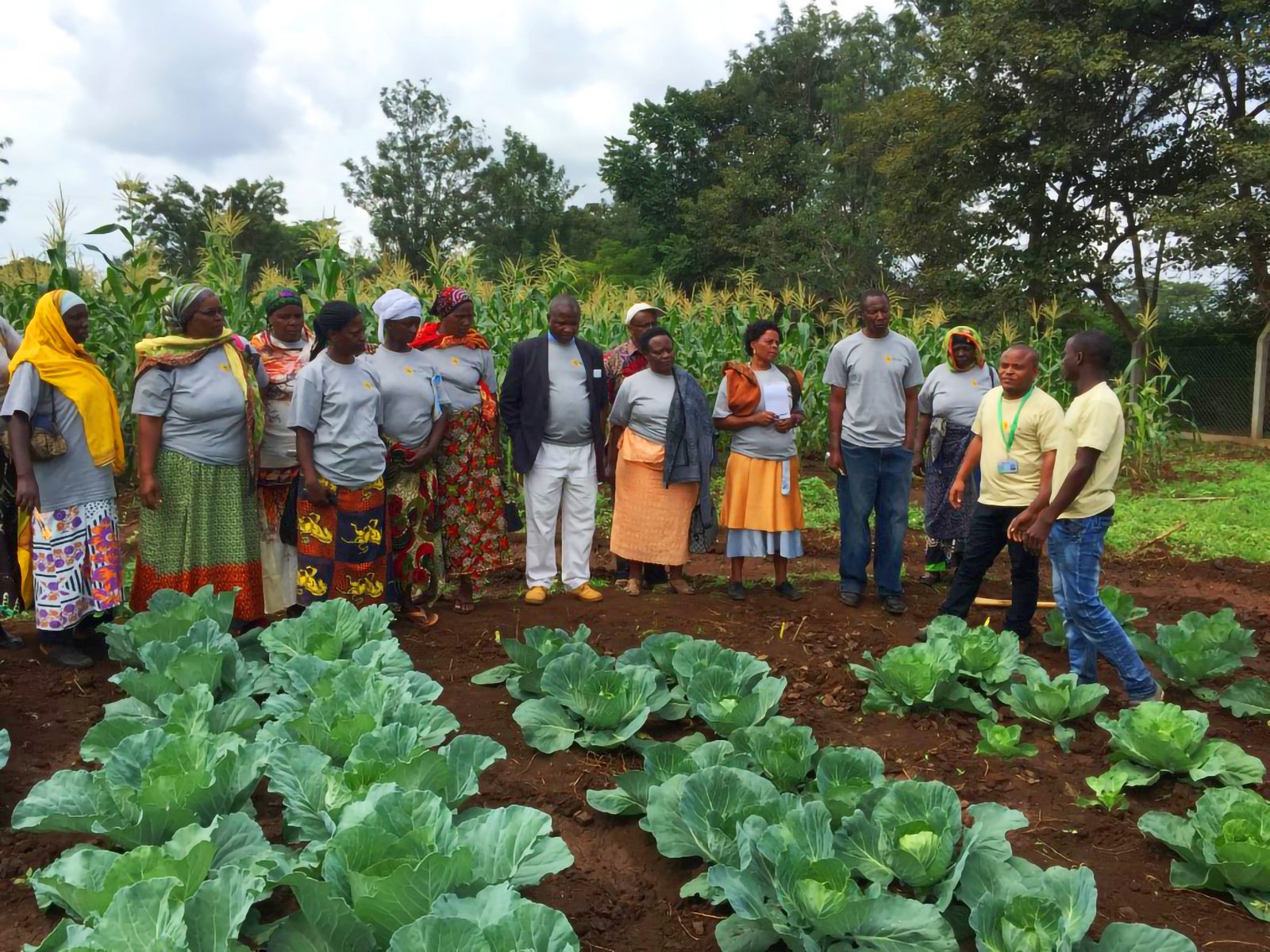 Eastern and Southern Africa - Access to seeds